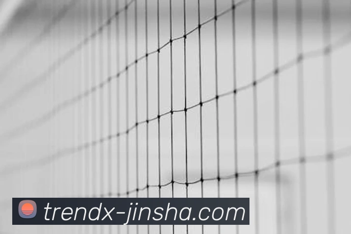 澳门金沙官网品牌故事